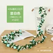 缩略图 7