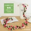 缩略图 6