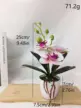 缩略图 5