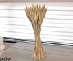 缩略图 5
