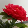 缩略图 5
