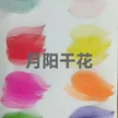 缩略图 9