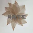 缩略图 7
