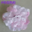 缩略图 8