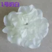 缩略图 5
