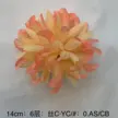 缩略图 8