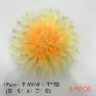 缩略图 6