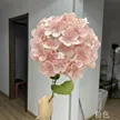 缩略图 9