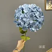 缩略图 6