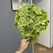 缩略图 5