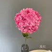 缩略图 8