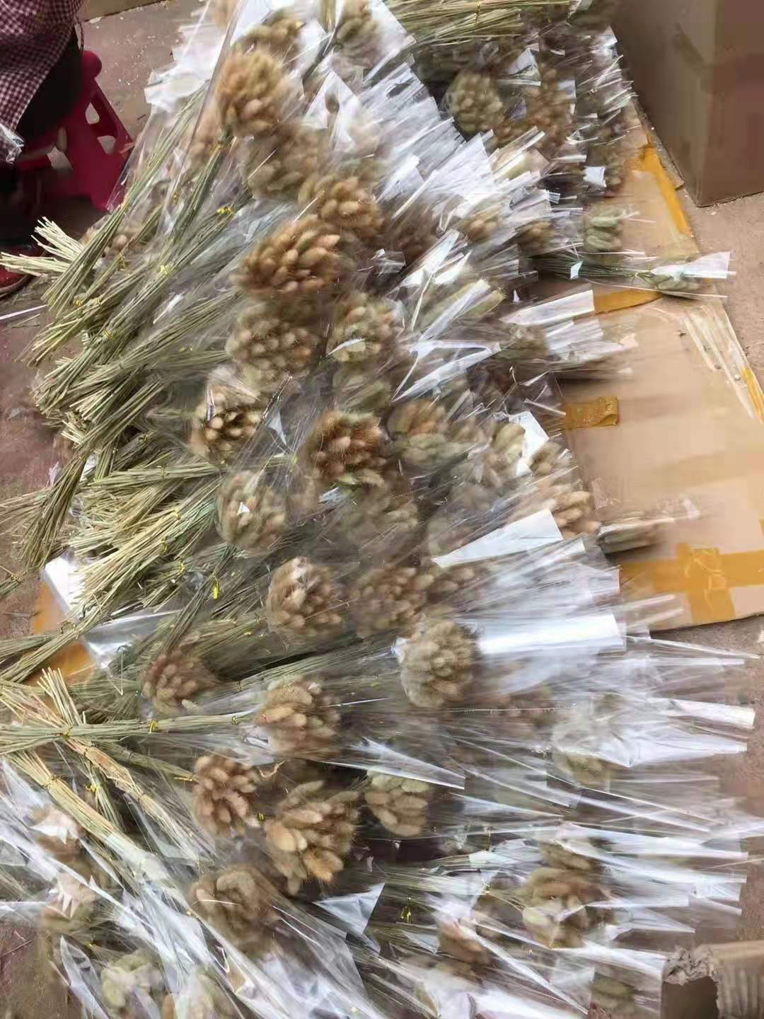 微信图片_20210502104446