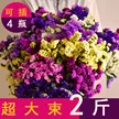 缩略图 4