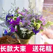 缩略图 1