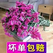 缩略图 5