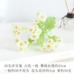 缩略图 5