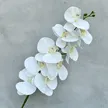 缩略图 9