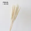 缩略图 5