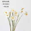 缩略图 6
