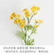 缩略图 5