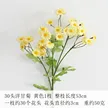 缩略图 8