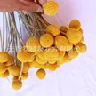 缩略图 6
