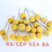 缩略图 9