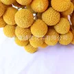 缩略图 3