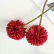 缩略图 7