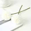 缩略图 9