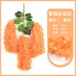 缩略图 5