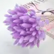 缩略图 7
