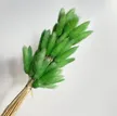 缩略图 8