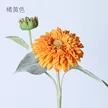 缩略图 6