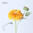 缩略图 5