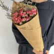 缩略图 7