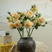 缩略图 4