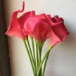 缩略图 9