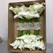 缩略图 5