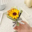 缩略图 6