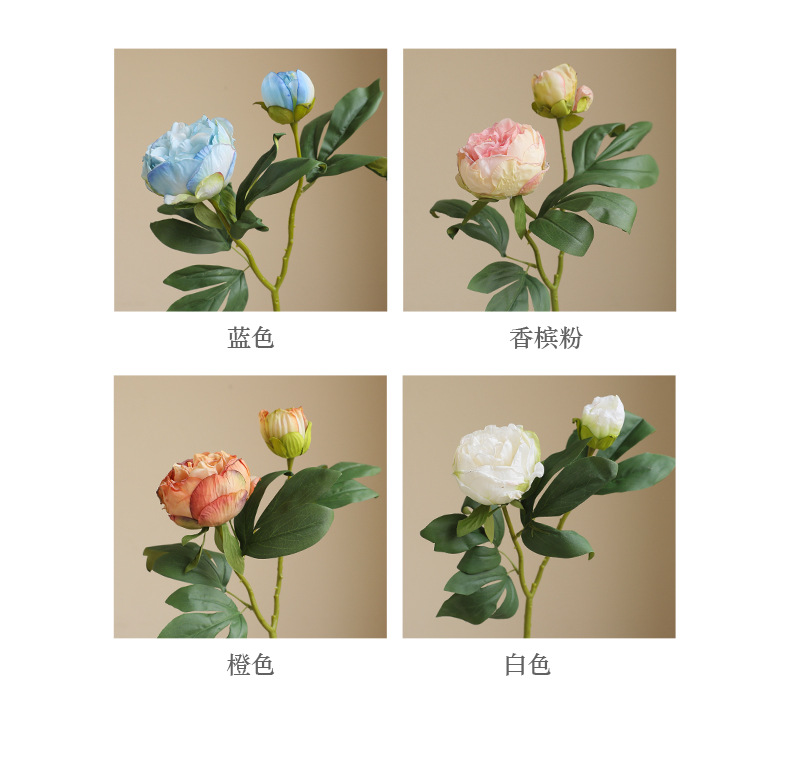 醉蓝2头英国牡丹_04.jpg
