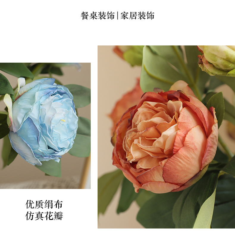 醉蓝2头英国牡丹_06.jpg