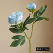 缩略图 7