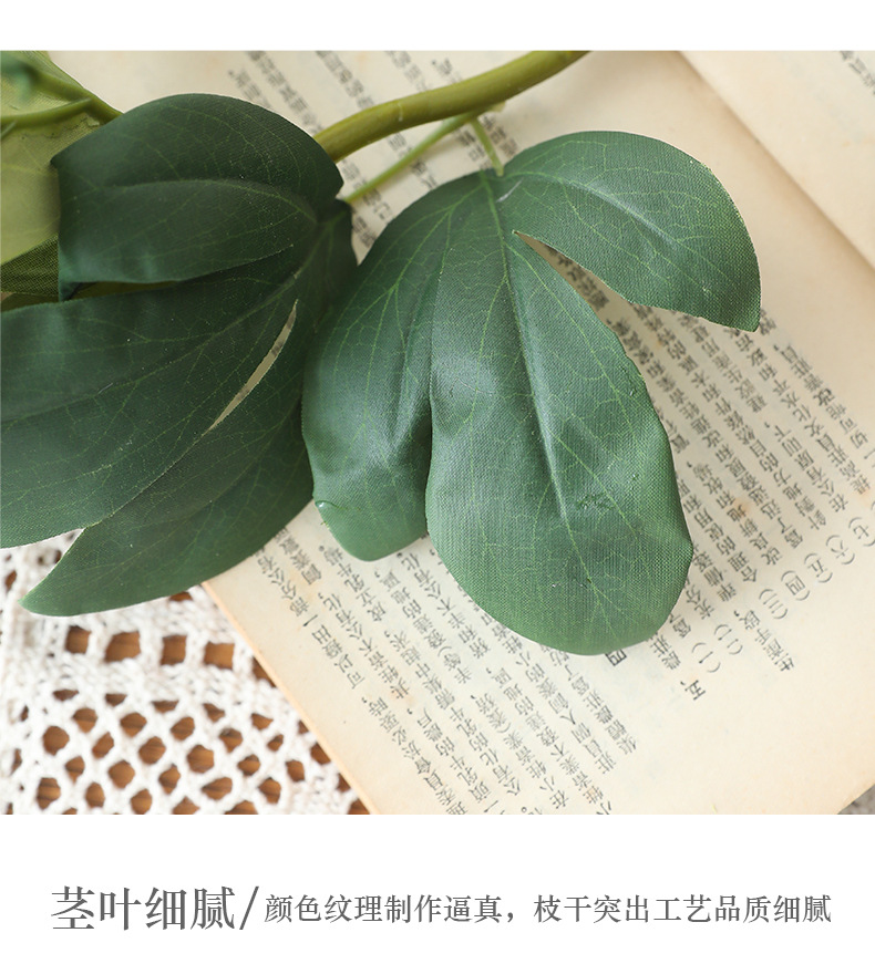醉蓝2头英国牡丹_13.jpg