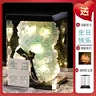 缩略图 8