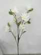 缩略图 5