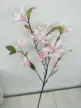 缩略图 9