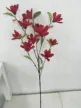 缩略图 6