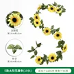 缩略图 5