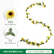 缩略图 6